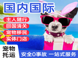 鸡西机场快运国际宠物托运 【国
